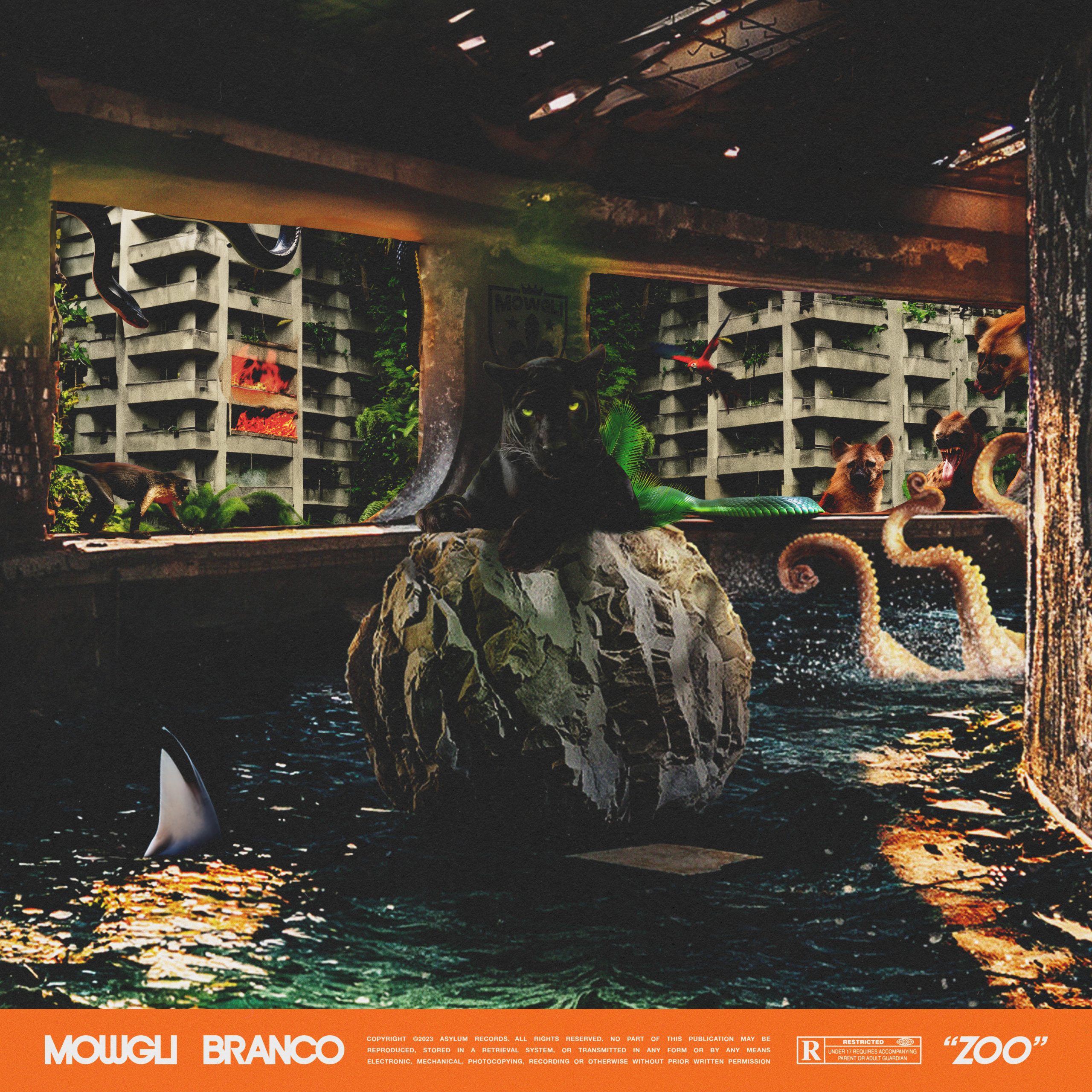 Mowgli - Zoo feat. Branco